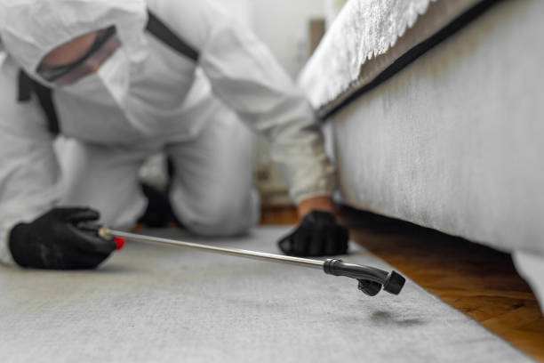 Professional Cockroach Control technician working in Bloomfield, IA