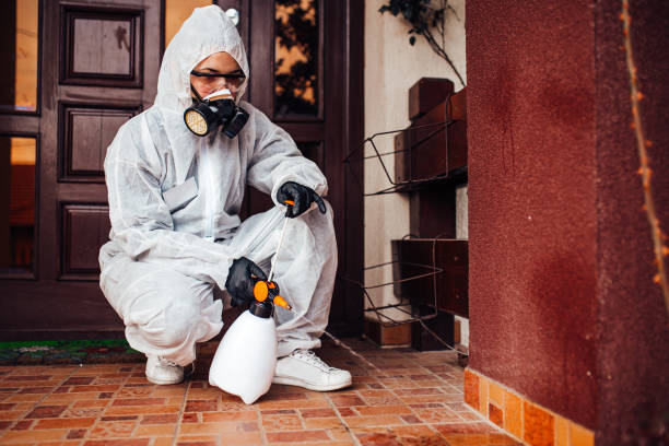 Reliable Cockroach Control contractor in Bloomfield, IA by Nex Pest Control