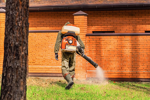 Trusted Cockroach Control service in Bloomfield, IA - Nex Pest Control